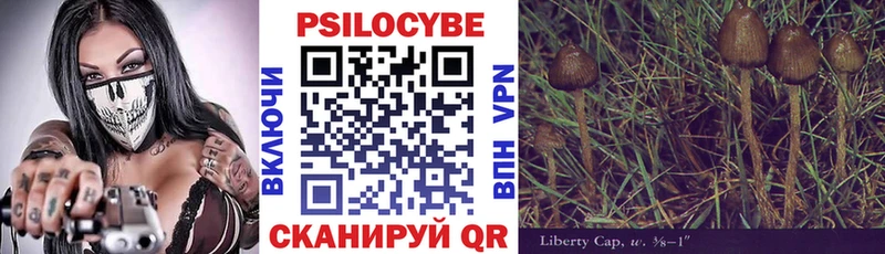 купить   Пыть-Ях  Псилоцибиновые грибы Magic Shrooms 